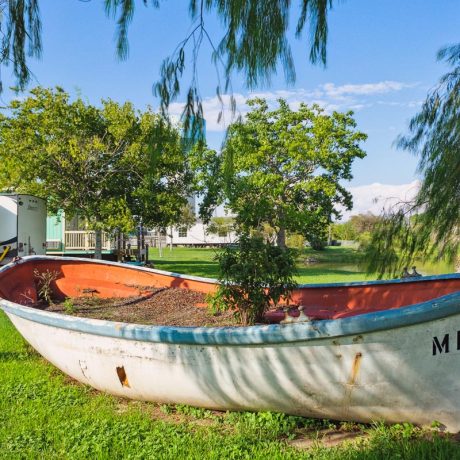 small boat on grass with tree